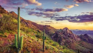Scottsdale Insurance Scottsdale Insurance Agent