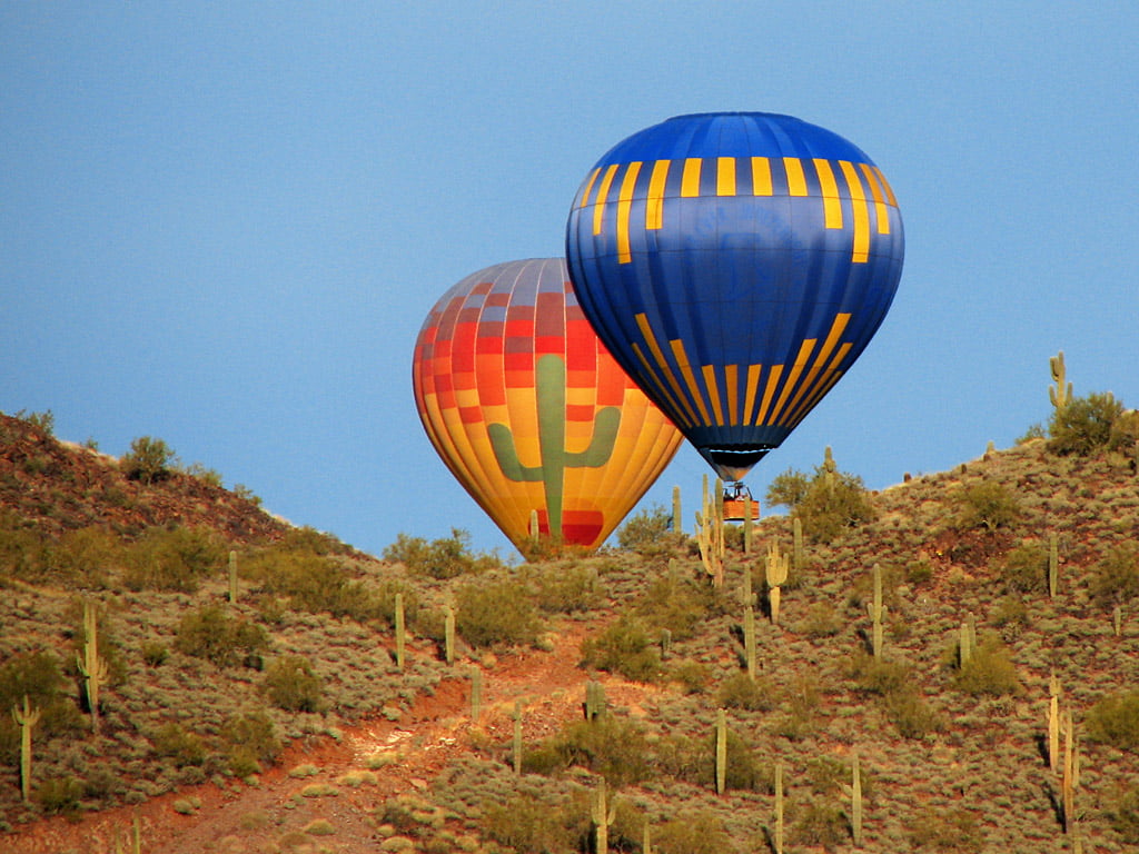 North Phoenix Insurance North Phoenix Insurance