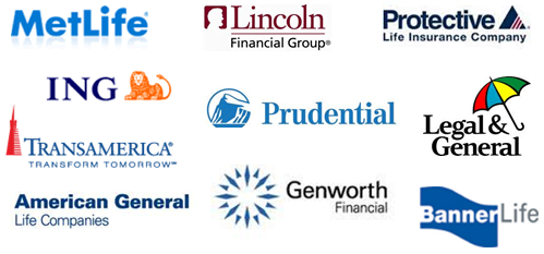 Compare Term Life Insurance Quotes