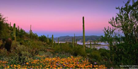 Peoria, AZ Insurance Lake Pleasant Peoria, AZ