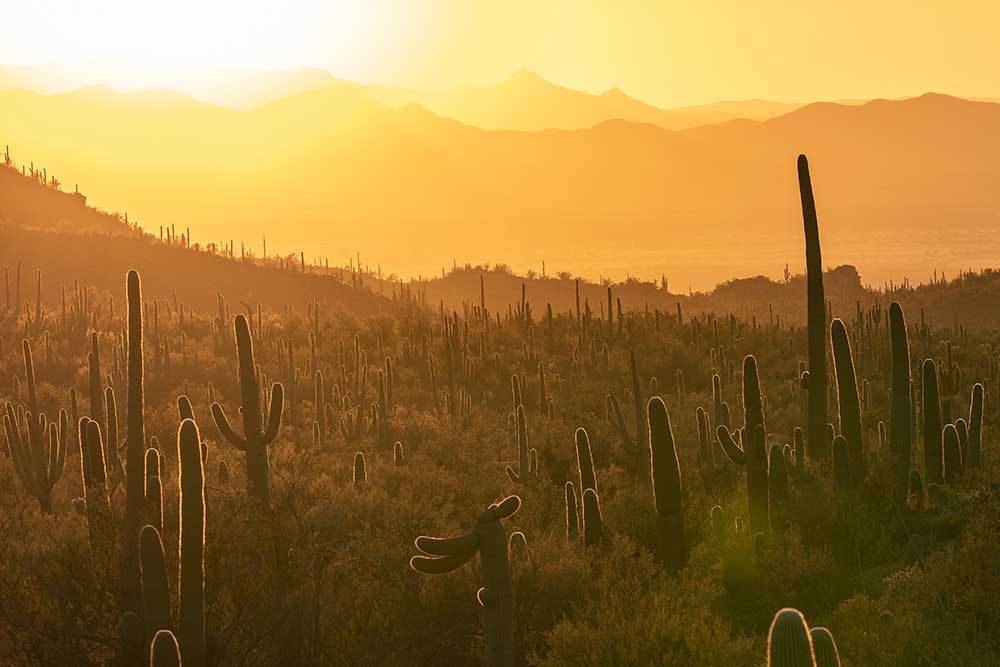 Arizona Personal Insurance