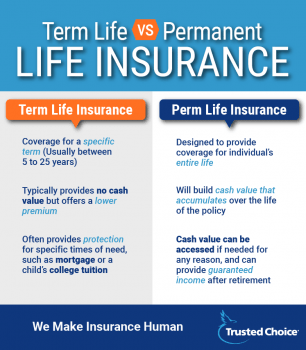 Term Life